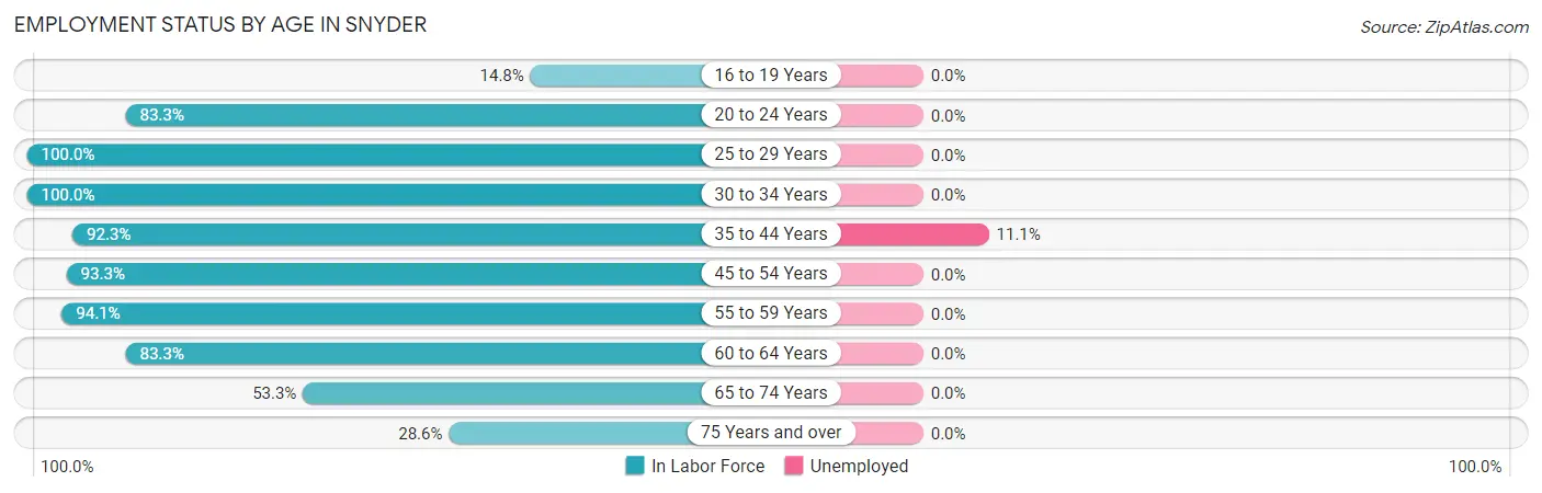 Employment Status by Age in Snyder