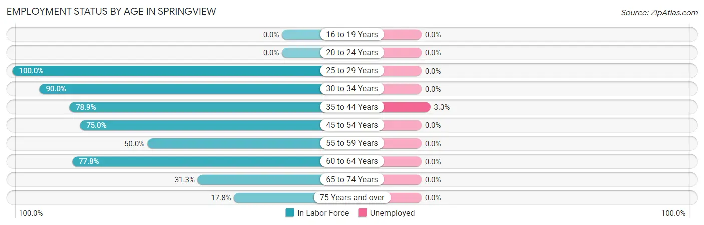 Employment Status by Age in Springview