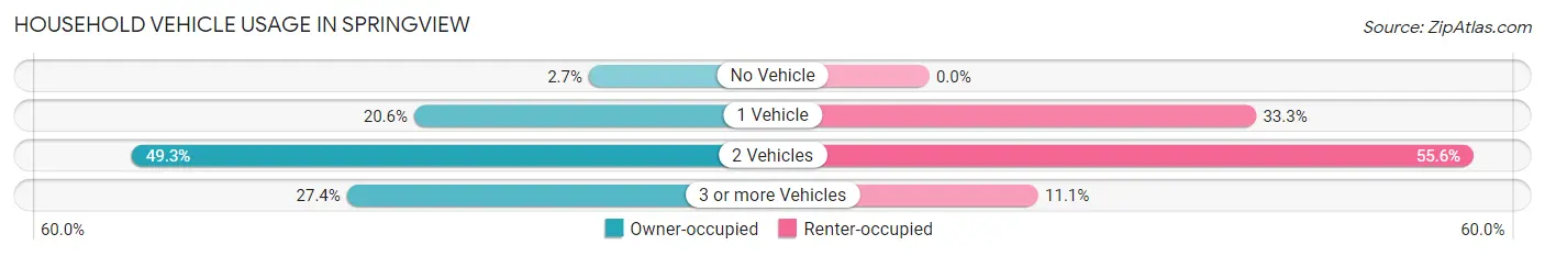 Household Vehicle Usage in Springview