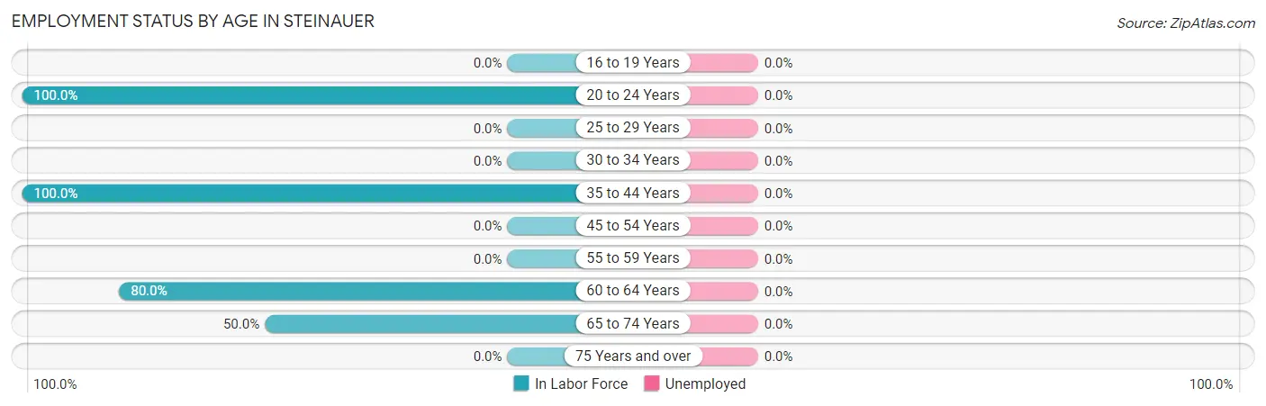 Employment Status by Age in Steinauer