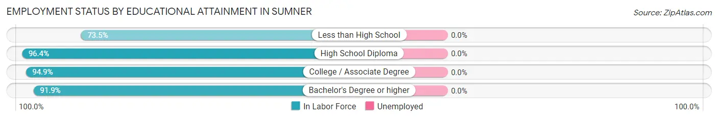 Employment Status by Educational Attainment in Sumner