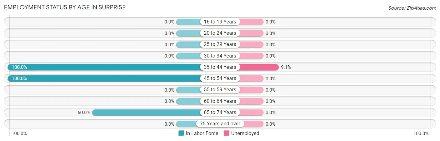 Employment Status by Age in Surprise