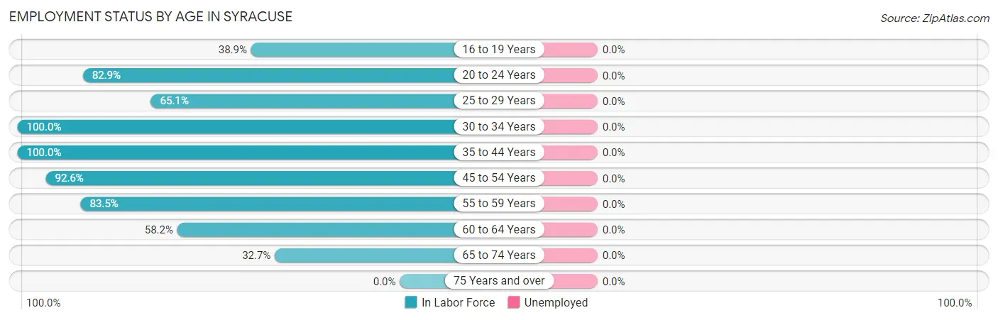 Employment Status by Age in Syracuse
