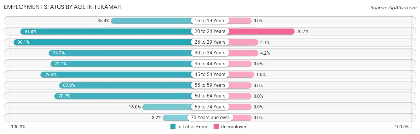 Employment Status by Age in Tekamah