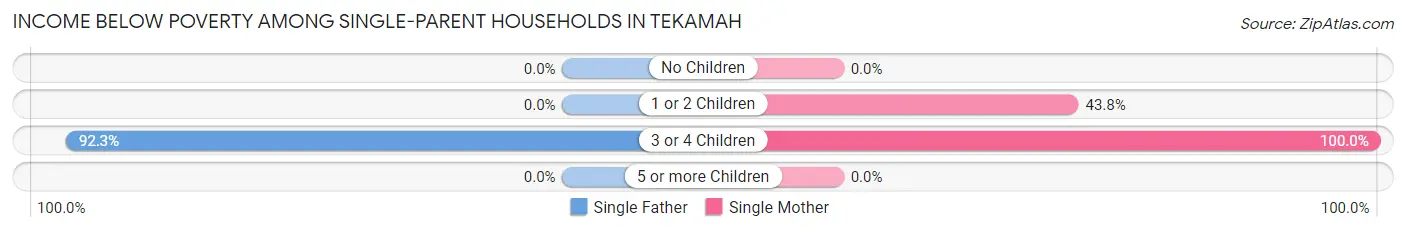 Income Below Poverty Among Single-Parent Households in Tekamah