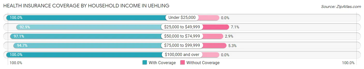 Health Insurance Coverage by Household Income in Uehling