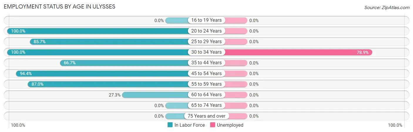 Employment Status by Age in Ulysses
