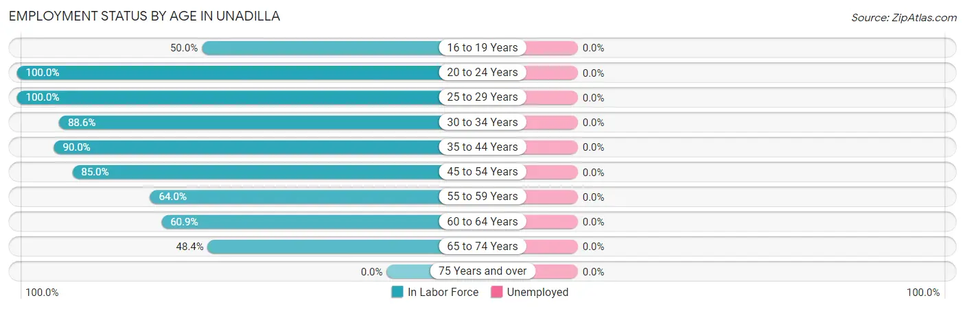 Employment Status by Age in Unadilla