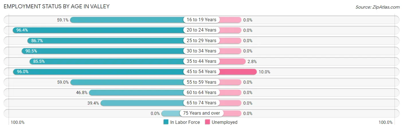 Employment Status by Age in Valley