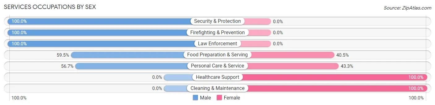 Services Occupations by Sex in Valley