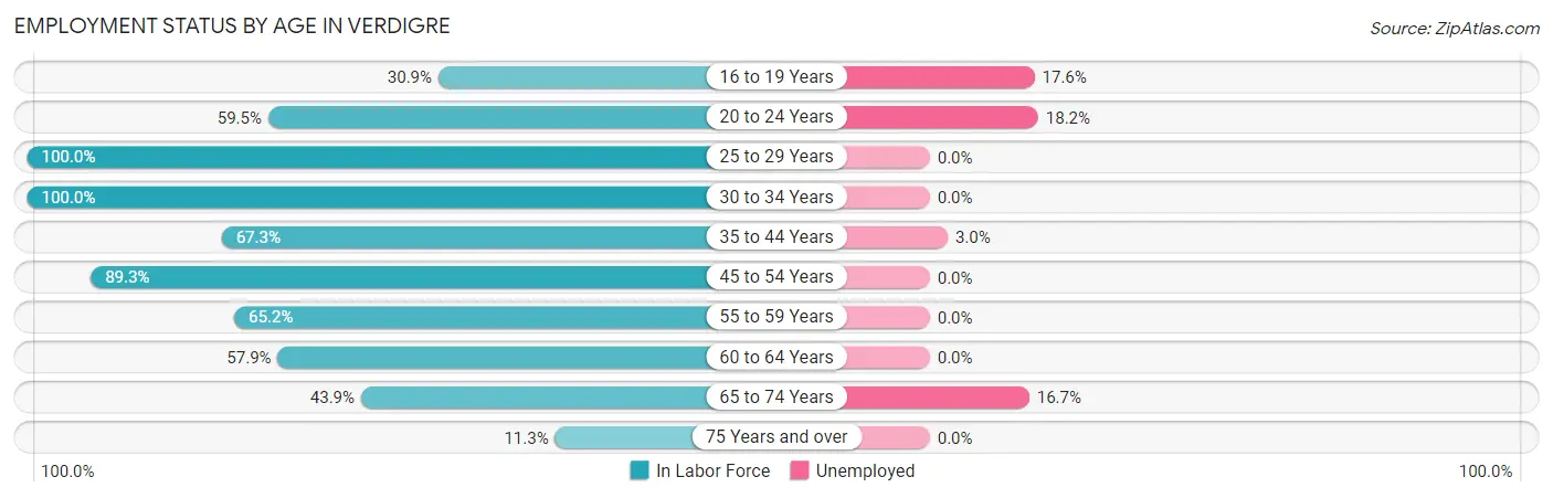 Employment Status by Age in Verdigre