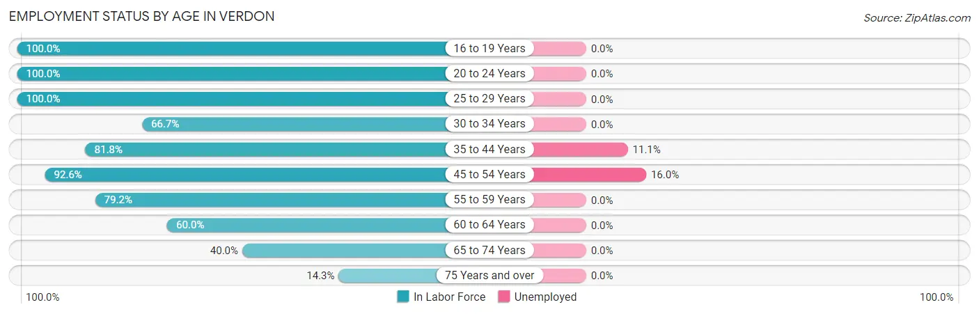 Employment Status by Age in Verdon