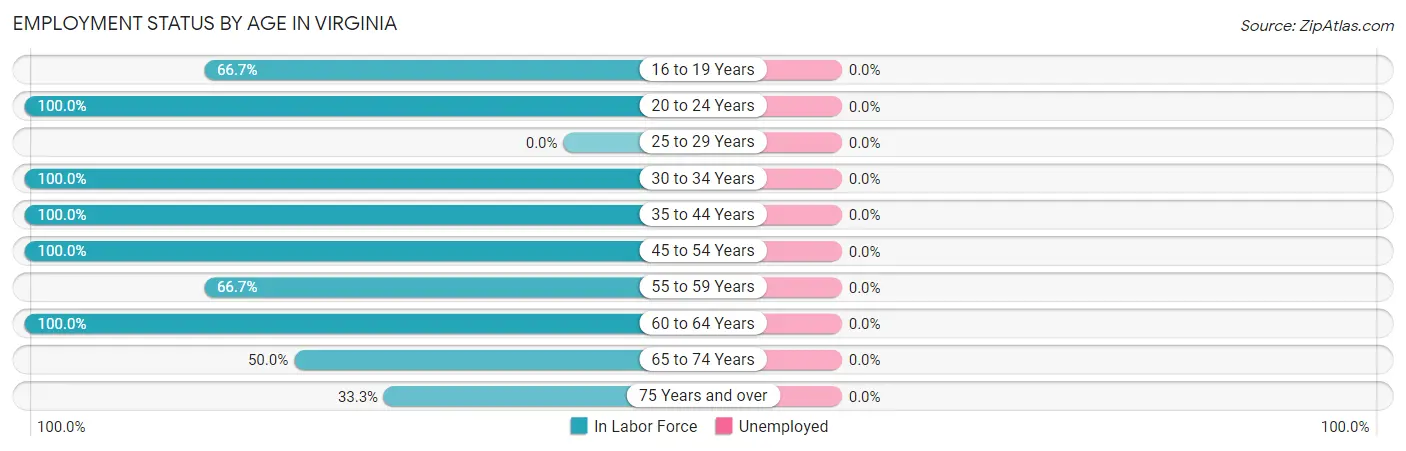 Employment Status by Age in Virginia