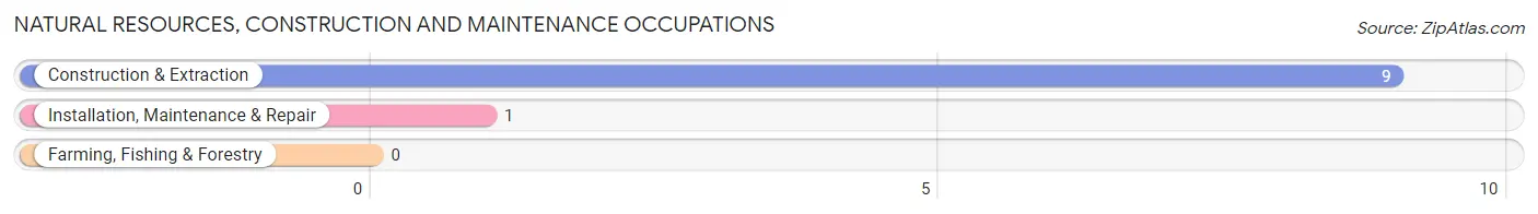 Natural Resources, Construction and Maintenance Occupations in Virginia