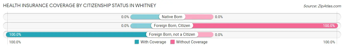 Health Insurance Coverage by Citizenship Status in Whitney