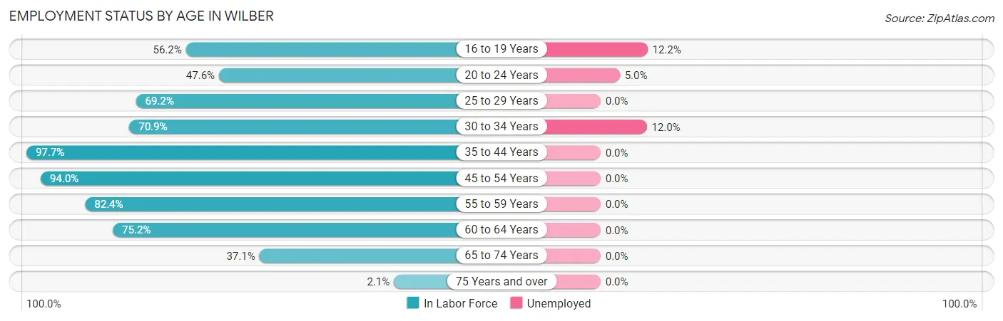 Employment Status by Age in Wilber