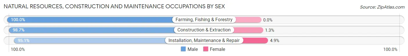 Natural Resources, Construction and Maintenance Occupations by Sex in Wilber