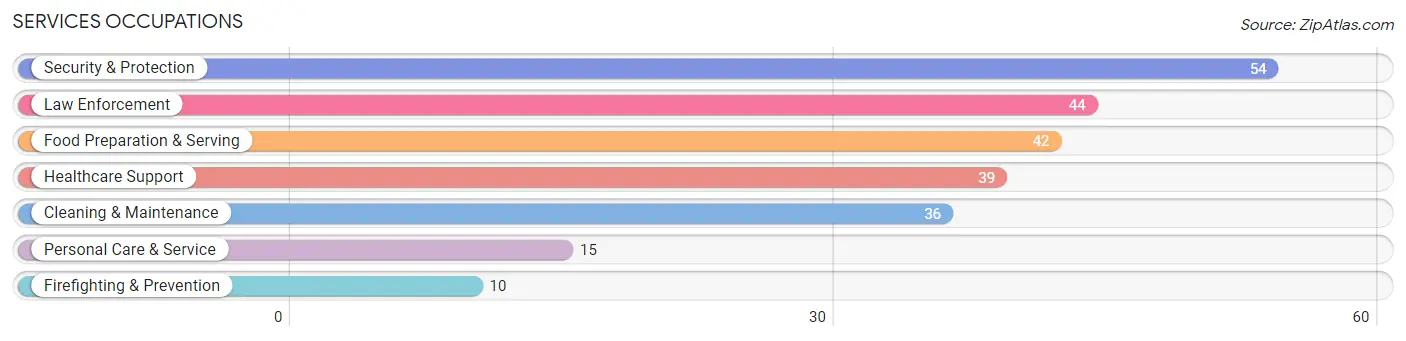 Services Occupations in Wilber