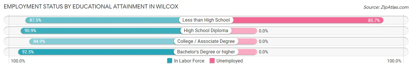 Employment Status by Educational Attainment in Wilcox