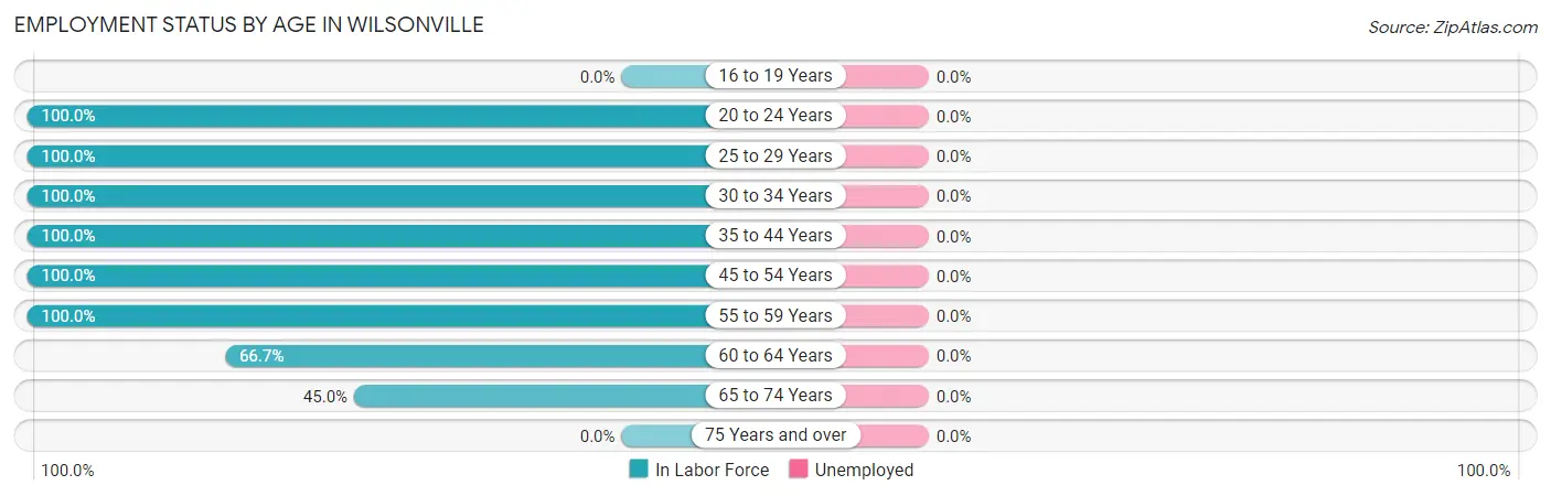 Employment Status by Age in Wilsonville
