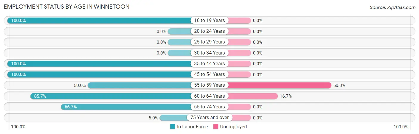 Employment Status by Age in Winnetoon