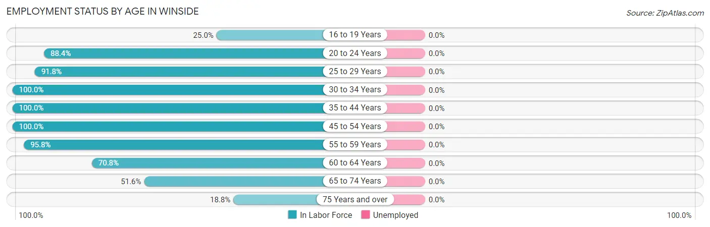 Employment Status by Age in Winside