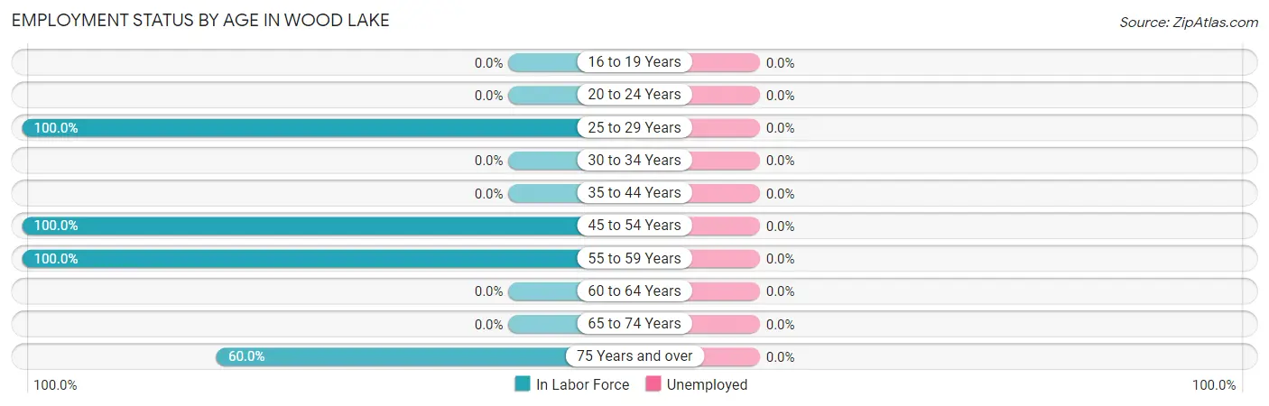 Employment Status by Age in Wood Lake