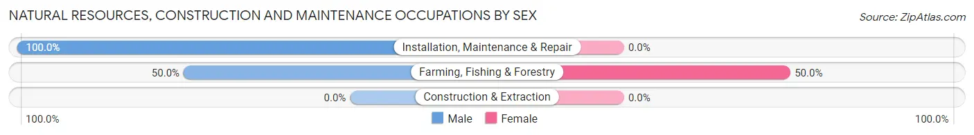 Natural Resources, Construction and Maintenance Occupations by Sex in Wood Lake