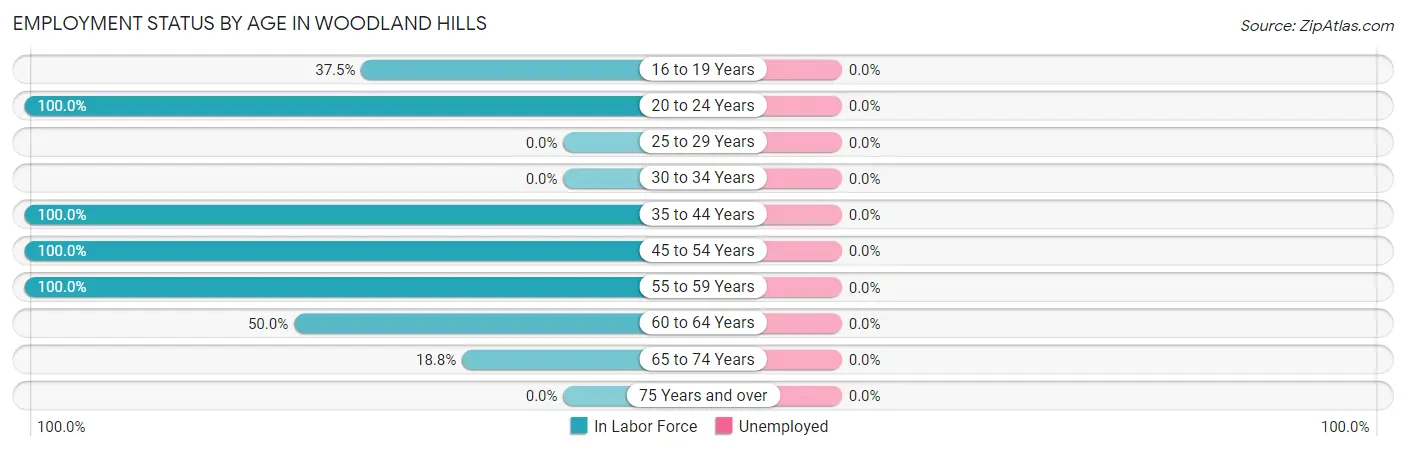 Employment Status by Age in Woodland Hills