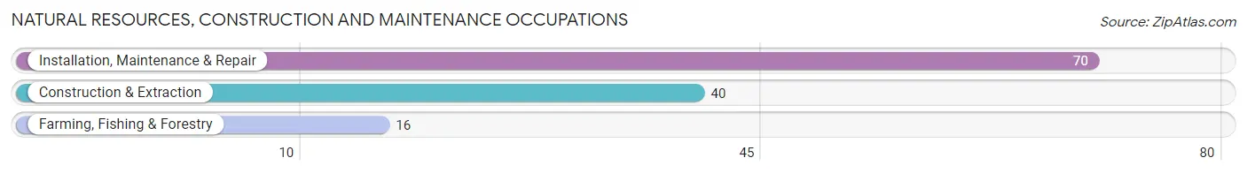 Natural Resources, Construction and Maintenance Occupations in Wymore