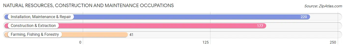 Natural Resources, Construction and Maintenance Occupations in York