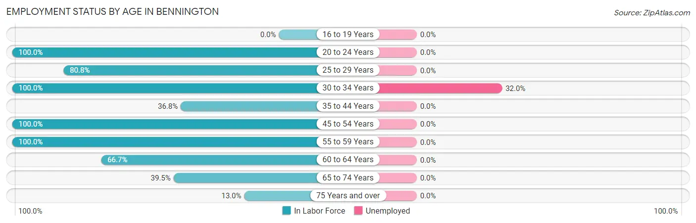 Employment Status by Age in Bennington