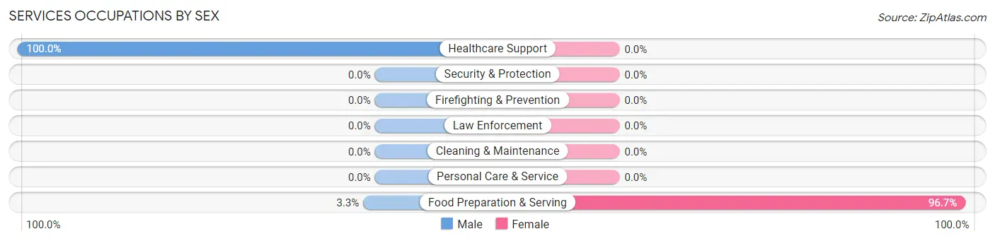 Services Occupations by Sex in Center Ossipee
