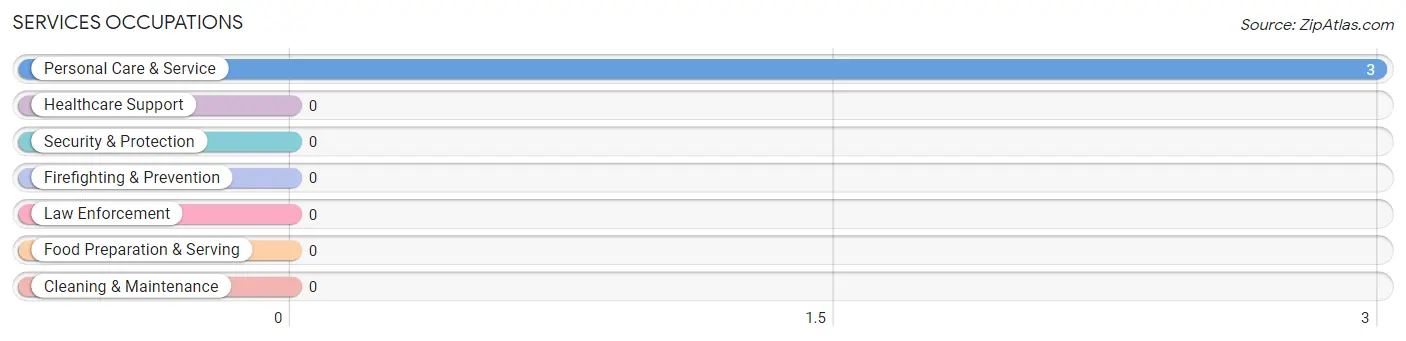 Services Occupations in Center Sandwich