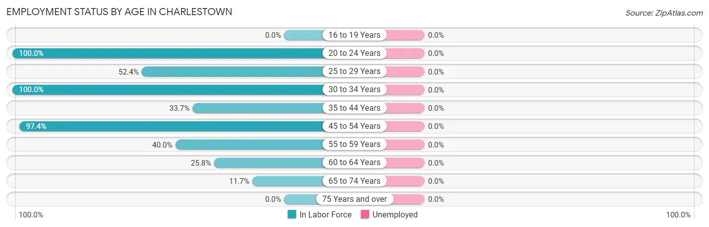 Employment Status by Age in Charlestown