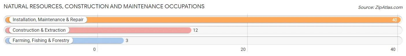 Natural Resources, Construction and Maintenance Occupations in Colebrook