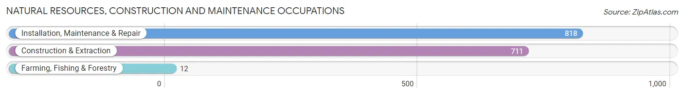 Natural Resources, Construction and Maintenance Occupations in Concord