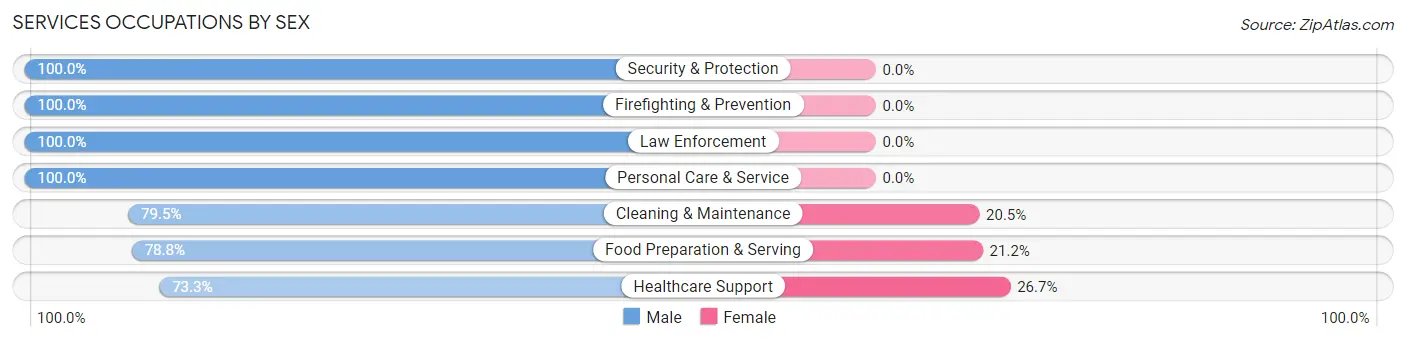 Services Occupations by Sex in Conway