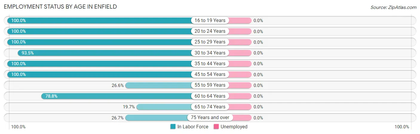 Employment Status by Age in Enfield