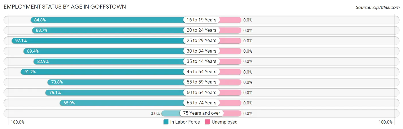 Employment Status by Age in Goffstown