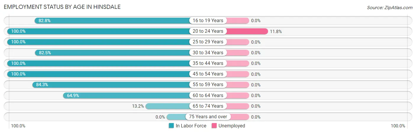 Employment Status by Age in Hinsdale