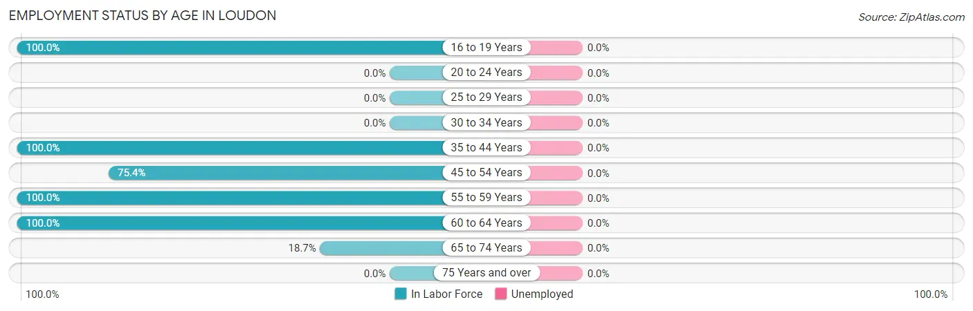 Employment Status by Age in Loudon