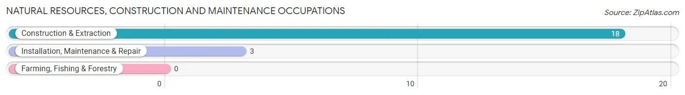 Natural Resources, Construction and Maintenance Occupations in Marlborough