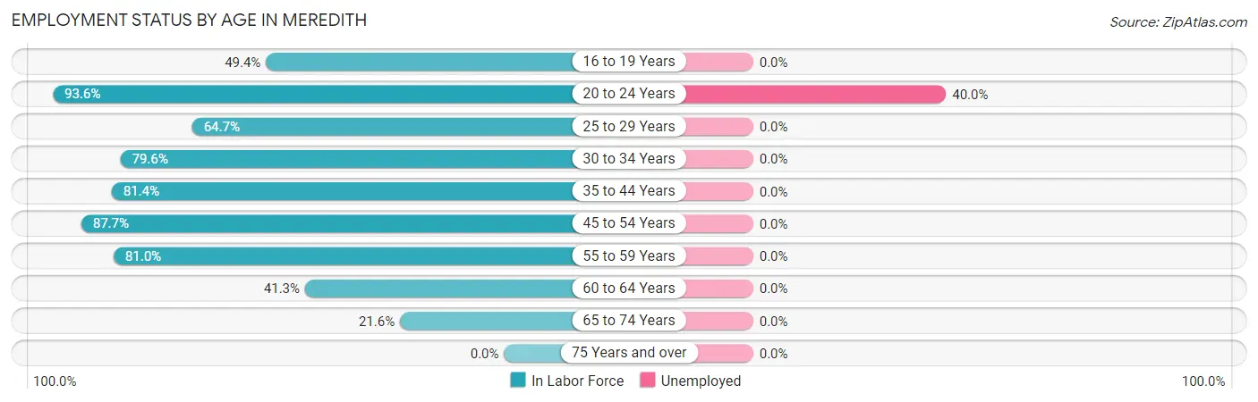 Employment Status by Age in Meredith