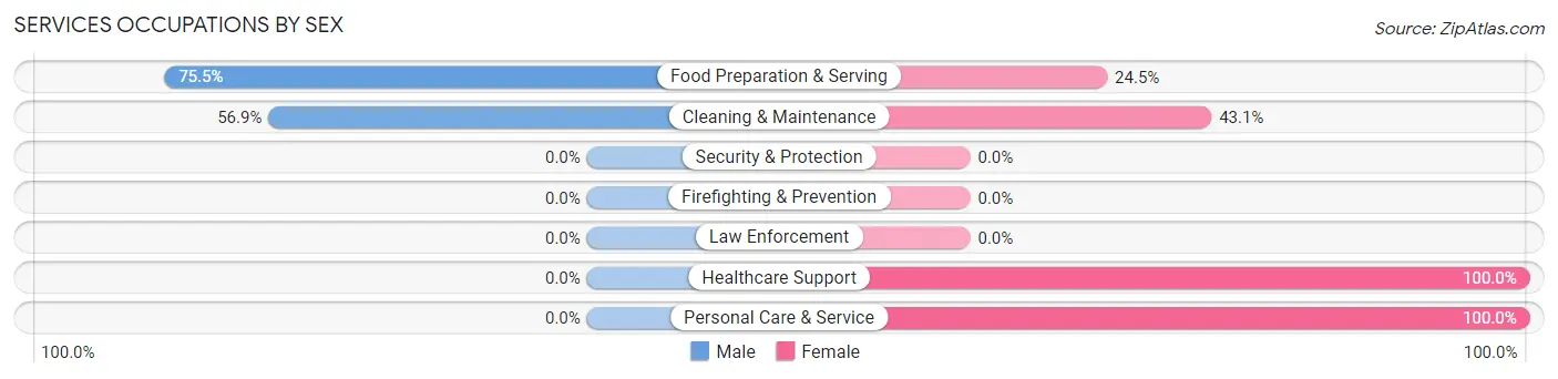 Services Occupations by Sex in Meredith