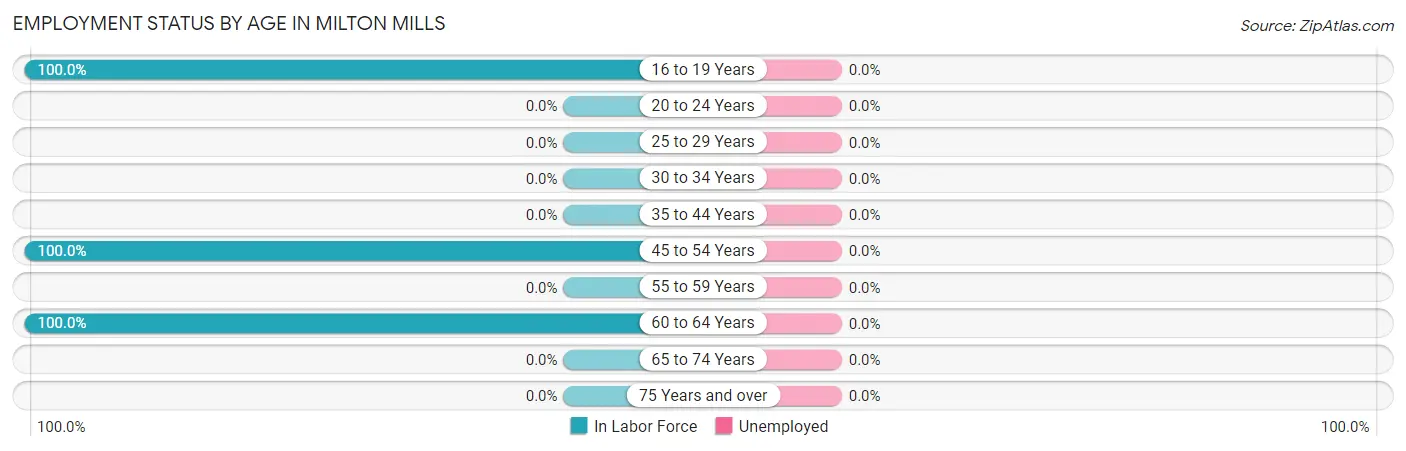 Employment Status by Age in Milton Mills