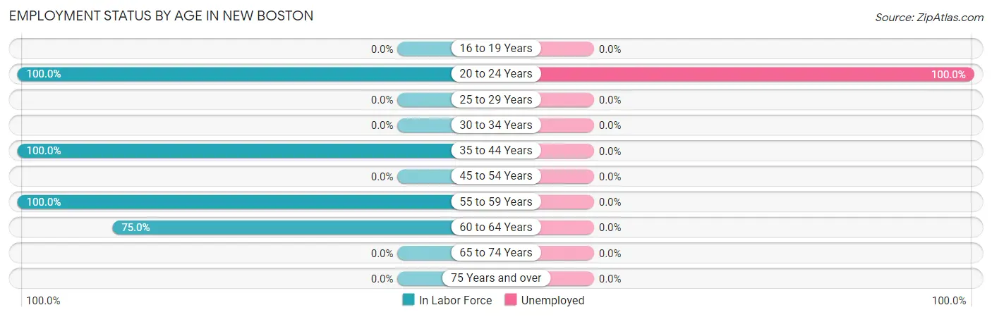 Employment Status by Age in New Boston