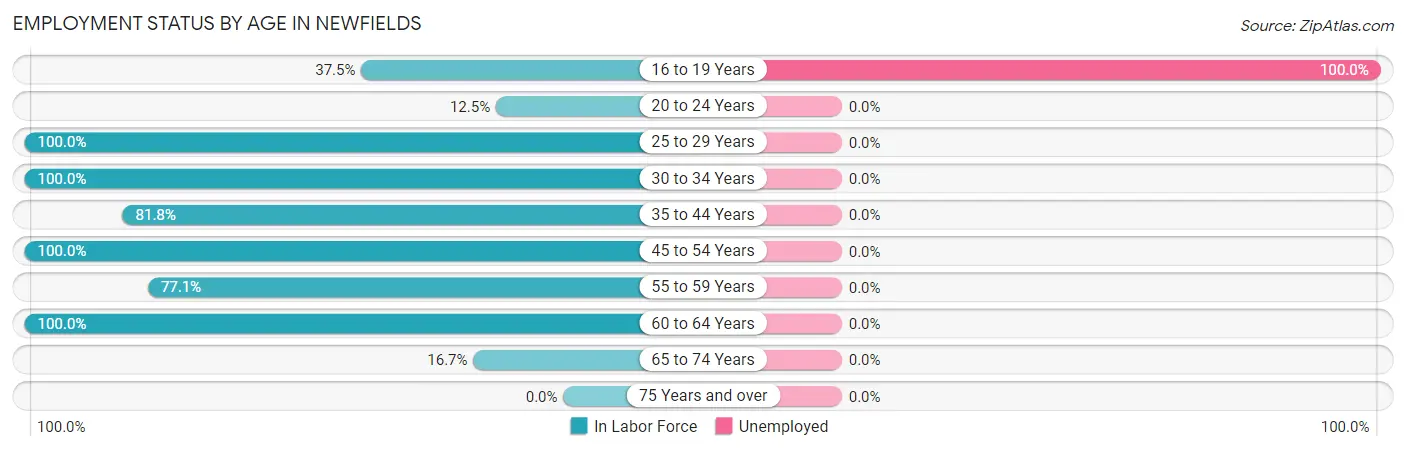 Employment Status by Age in Newfields