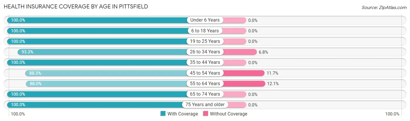 Health Insurance Coverage by Age in Pittsfield