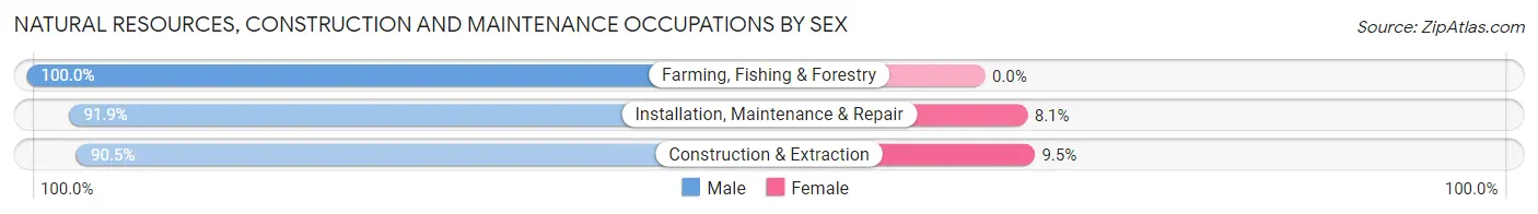 Natural Resources, Construction and Maintenance Occupations by Sex in Portsmouth